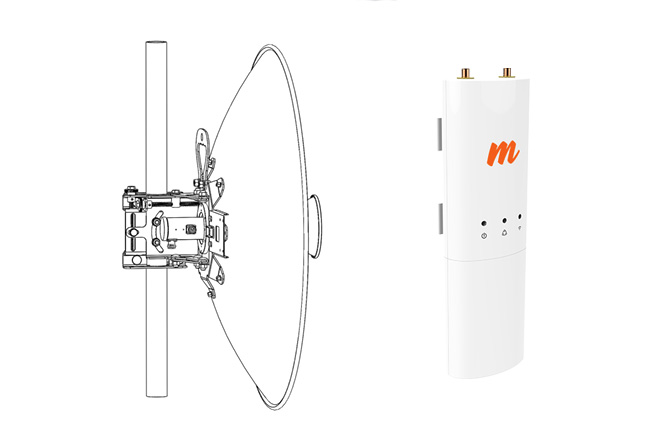 YL5060-31-HP Mimosa C5c